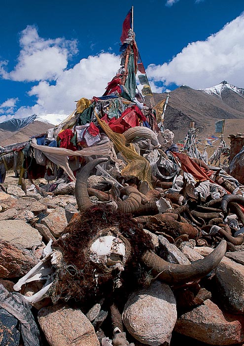Tibetan Buddhists’ prayer flags are common throughout the Himalayas and are said to bring happiness and protection to those who pass by. This one is adorned with bones, horns, and the skulls of Yaks.