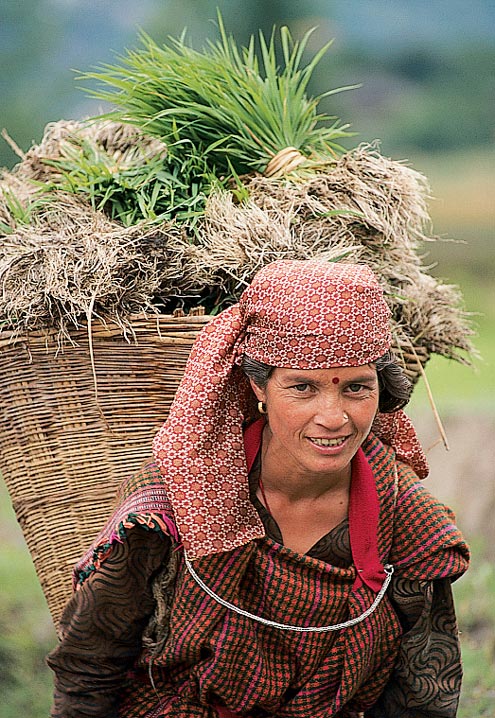 A local village woman carrying a basket of rice near Manali. Sometimes these women carry baskets for miles from the fields to the city.